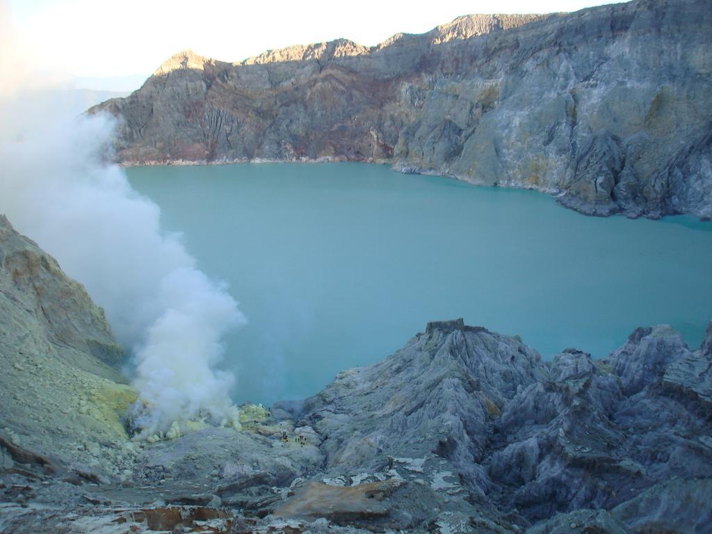 Thalia Homestay & Ijen Bromo Tour Баньюванги Экстерьер фото